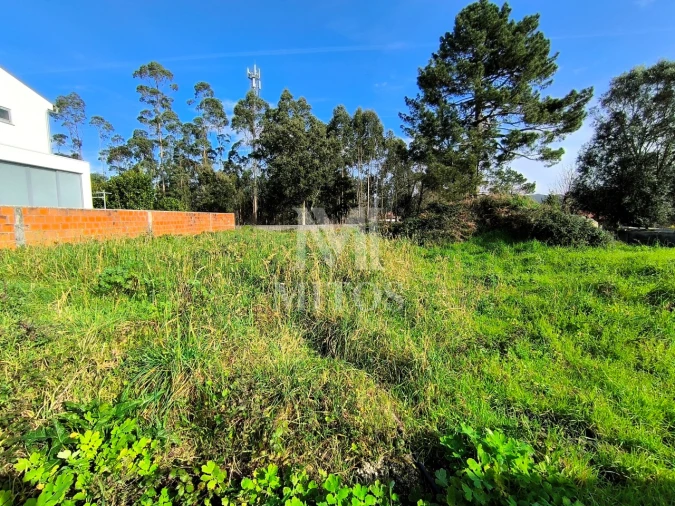 Terreno para Venda em Forjães Foto 1
