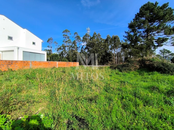 Terreno para Venda em Forjães Foto 5