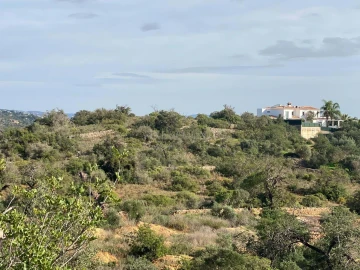 Terreno para Venda em Boliqueime