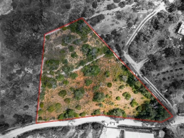 Terreno para Venda em Boliqueime
