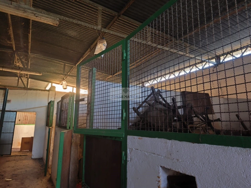 Quinta T3 para Venda em Odiaxere Foto 9