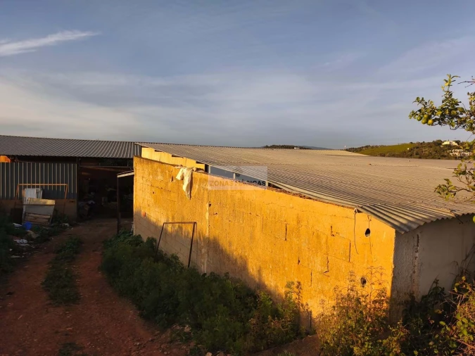 Quinta T3 para Venda em Odiaxere Foto 6