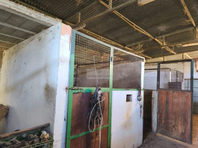 Quinta T3 para Venda em Odiaxere Foto 10