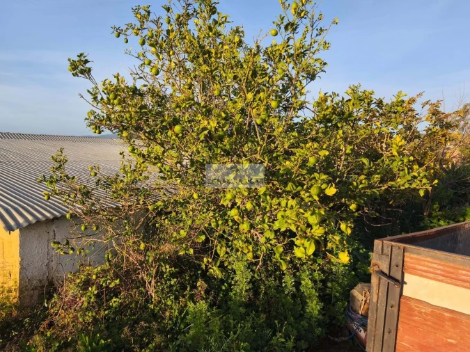 Quinta T3 para Venda em Odiaxere Foto 5