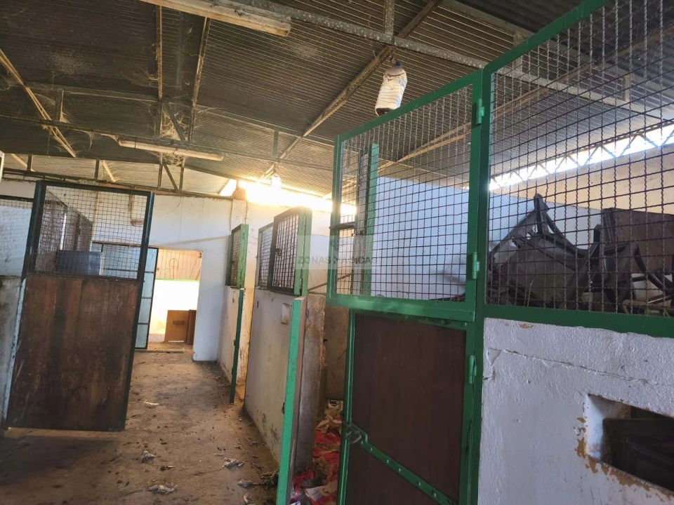 Quinta T3 para Venda em Odiaxere Foto 11