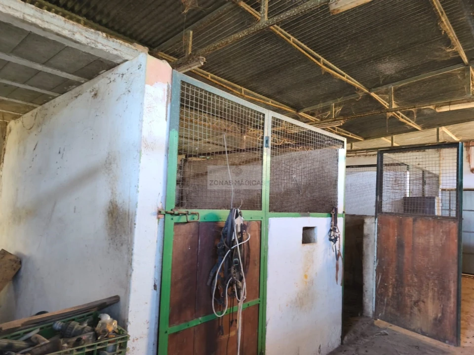 Quinta T3 para Venda em Odiaxere Foto 10