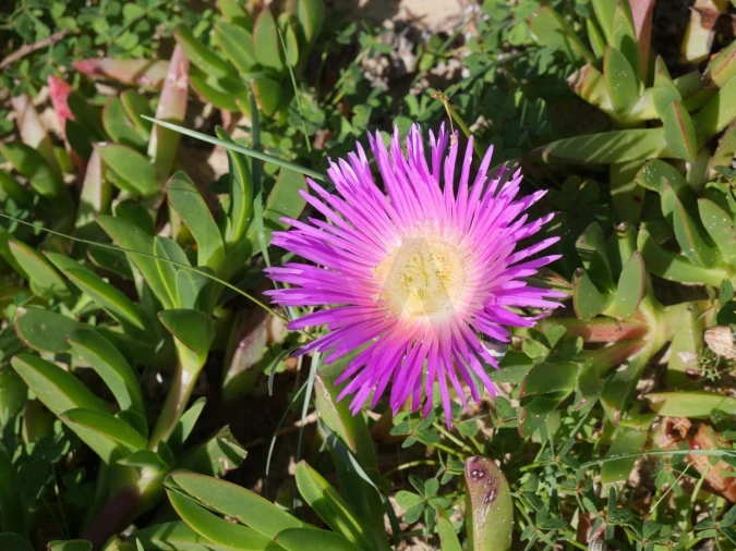 Apartamento T2 para Venda em Ferragudo Foto 18