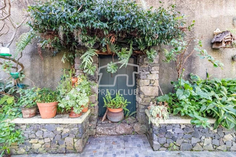 Moradia T4 para Venda em Curral das Freiras Foto 5