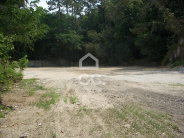 Terreno para Venda em Darque