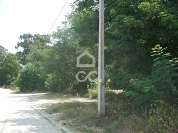 Terreno para Venda em Darque