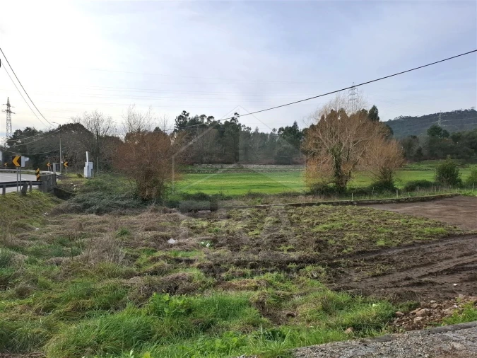 Terreno para Venda em Palmeira de Faro e Curvos Foto 2