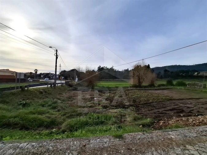 Terreno para Venda em Palmeira de Faro e Curvos Foto 8