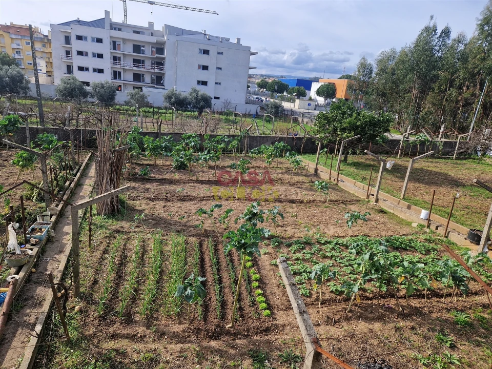 Quinta T6 para Venda em Nossa Sra de Fatima Foto 6