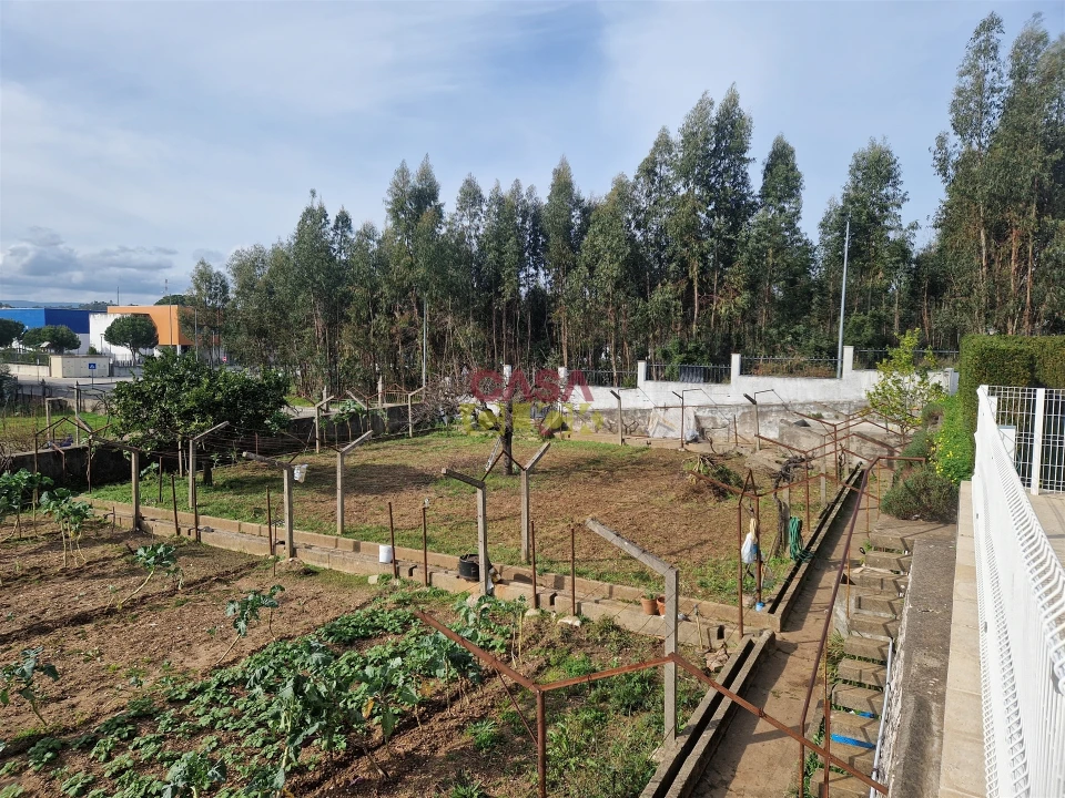 Quinta T6 para Venda em Nossa Sra de Fatima Foto 5