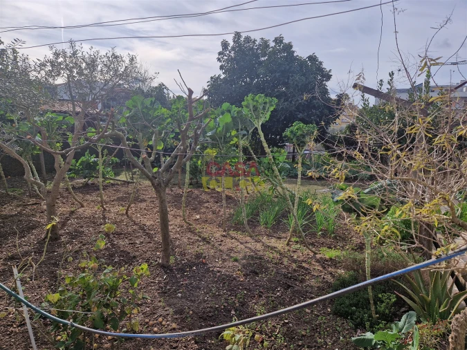 Quinta T6 para Venda em Nossa Sra de Fatima Foto 11