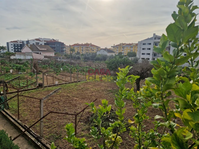 Quinta T6 para Venda em Nossa Sra de Fatima Foto 15