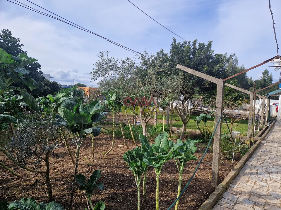 Quinta T6 para Venda em Nossa Sra de Fatima Foto 12