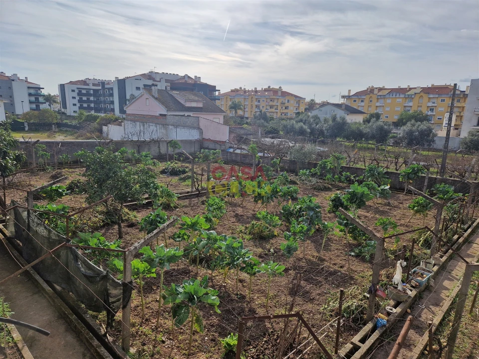 Quinta T6 para Venda em Nossa Sra de Fatima Foto 7