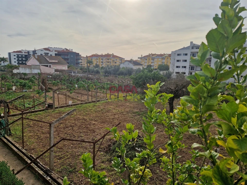 Quinta T6 para Venda em Nossa Sra de Fatima Foto 15