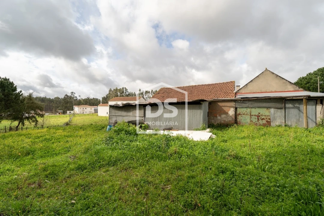 Moradia T5 para Venda em São Mamede Foto 13