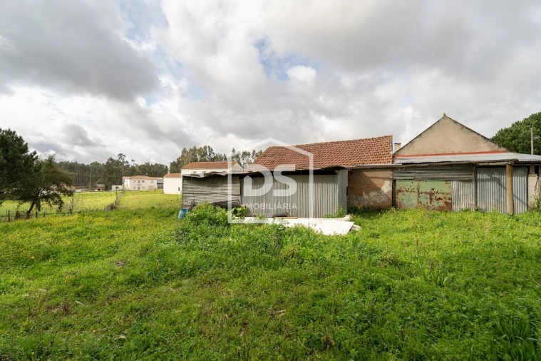 Moradia T5 para Venda em São Mamede Foto 12