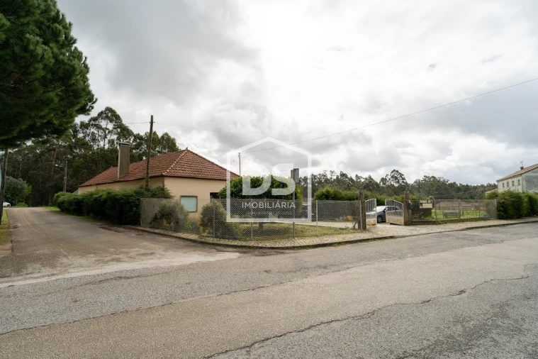 Moradia T5 para Venda em São Mamede Foto 22