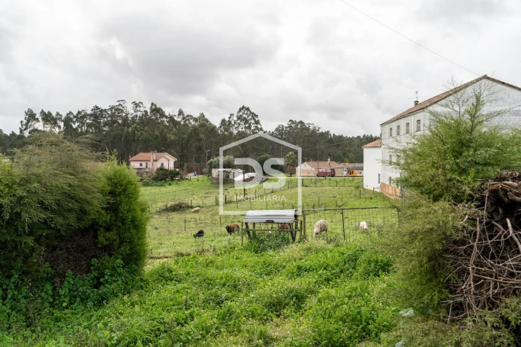 Moradia T5 para Venda em São Mamede Foto 7