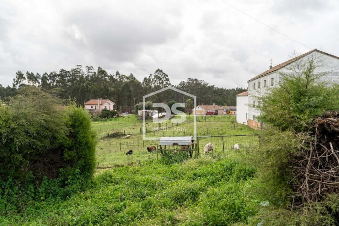 Moradia T5 para Venda em São Mamede Foto 8