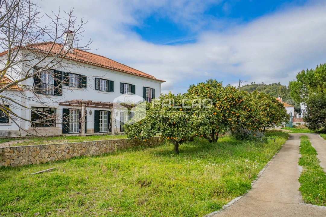 Moradia T5 para Venda em Marvila, Ribeira Santarém, São Salvador, São Nicolau Foto 69
