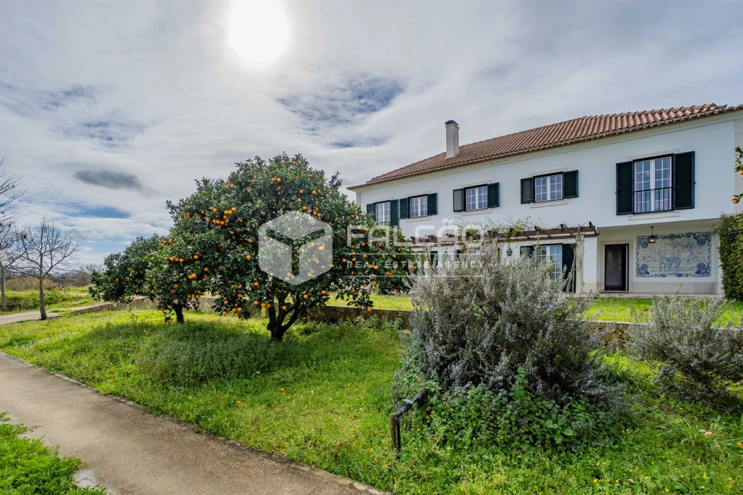 Moradia T5 para Venda em Marvila, Ribeira Santarém, São Salvador, São Nicolau Foto 71