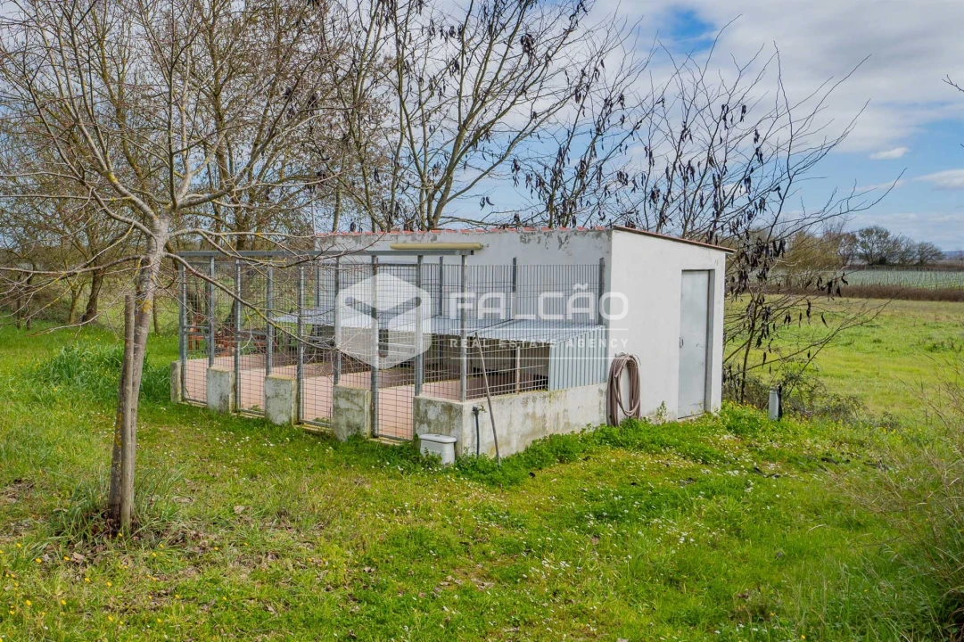 Moradia T5 para Venda em Marvila, Ribeira Santarém, São Salvador, São Nicolau Foto 70