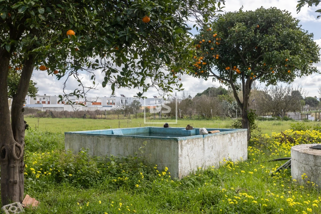Quinta T4 para Venda em Alhos Vedros Foto 32