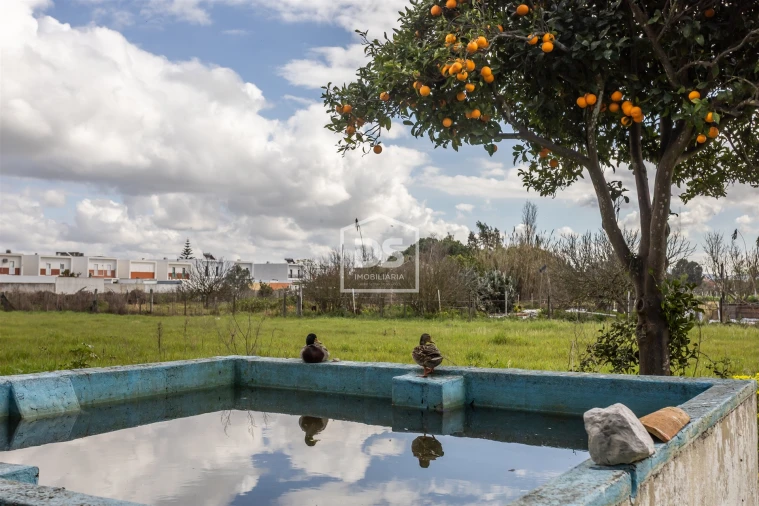 Quinta T4 para Venda em Alhos Vedros Foto 5