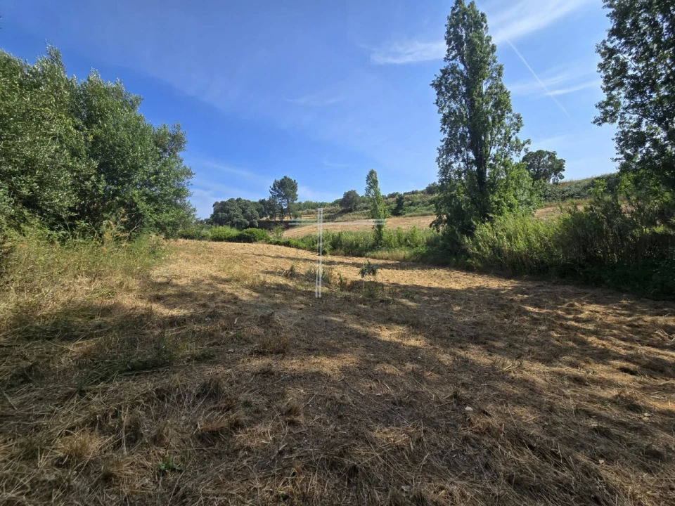 Terreno Agricola ou Rústico para Venda em Azeitão (São Lourenço e São Simão) Foto 1