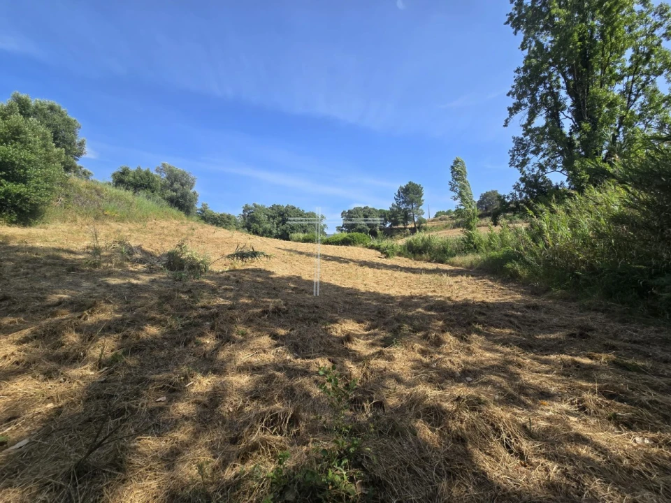 Terreno Agricola ou Rústico para Venda em Azeitão (São Lourenço e São Simão) Foto 2