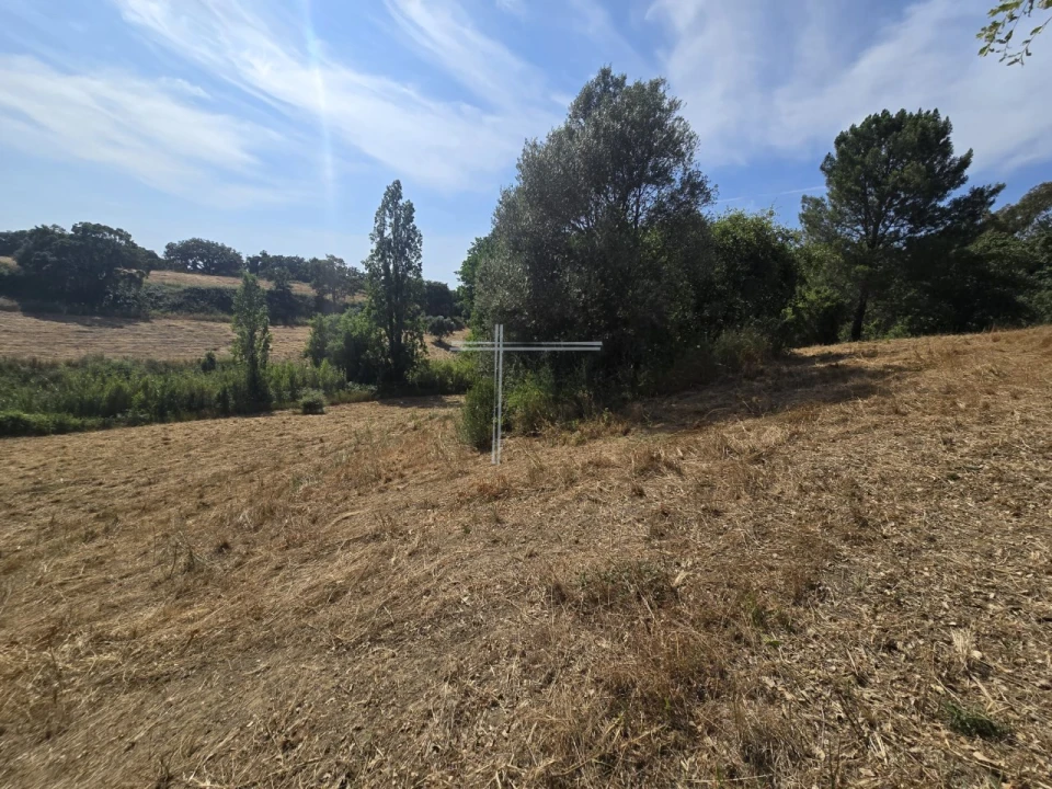 Terreno Agricola ou Rústico para Venda em Azeitão (São Lourenço e São Simão) Foto 6