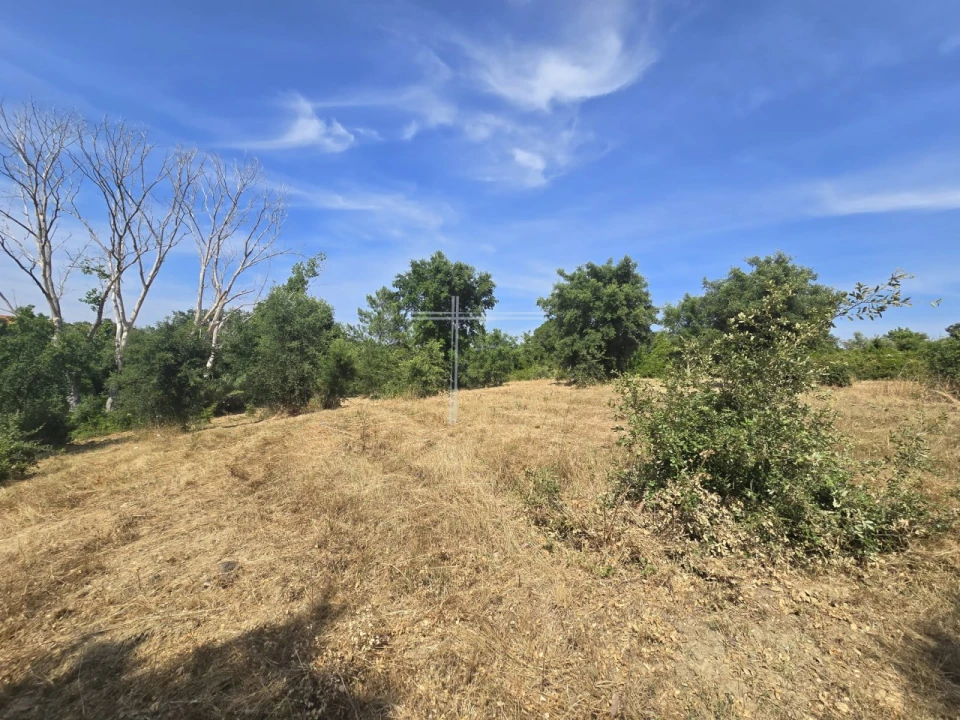 Terreno Agricola ou Rústico para Venda em Azeitão (São Lourenço e São Simão) Foto 7