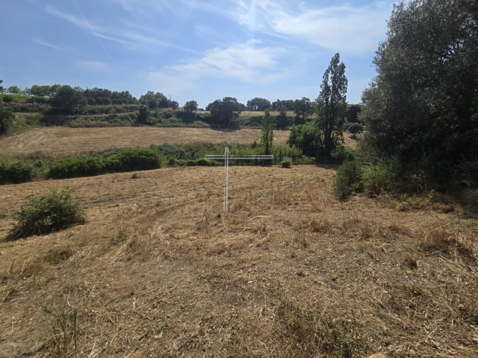 Terreno Agricola ou Rústico para Venda em Azeitão (São Lourenço e São Simão) Foto 8