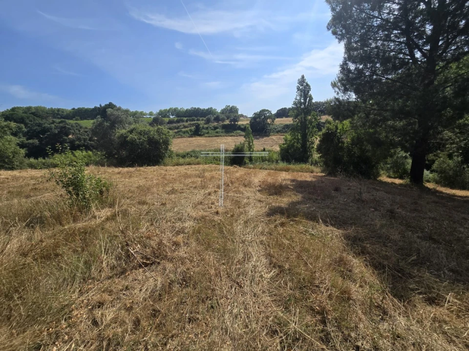 Terreno Agricola ou Rústico para Venda em Azeitão (São Lourenço e São Simão) Foto 9