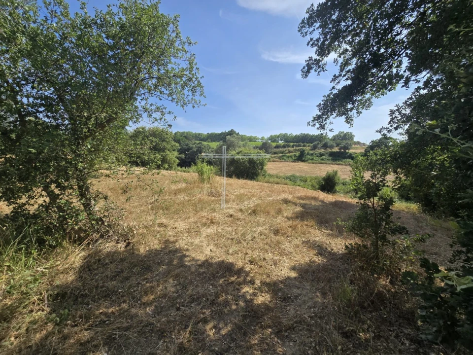 Terreno Agricola ou Rústico para Venda em Azeitão (São Lourenço e São Simão) Foto 11