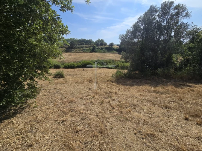 Terreno Agricola ou Rústico para Venda em Azeitão (São Lourenço e São Simão) Foto 4