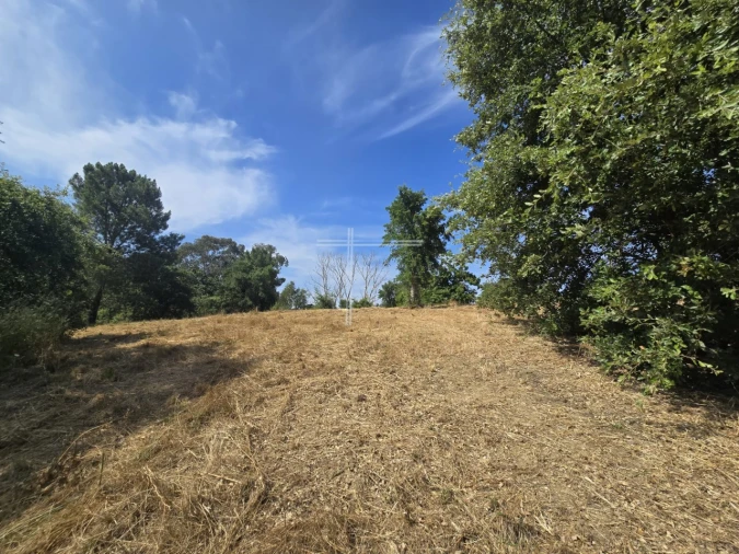 Terreno Agricola ou Rústico para Venda em Azeitão (São Lourenço e São Simão) Foto 5