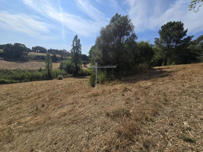 Terreno Agricola ou Rústico para Venda em Azeitão (São Lourenço e São Simão) Foto 6