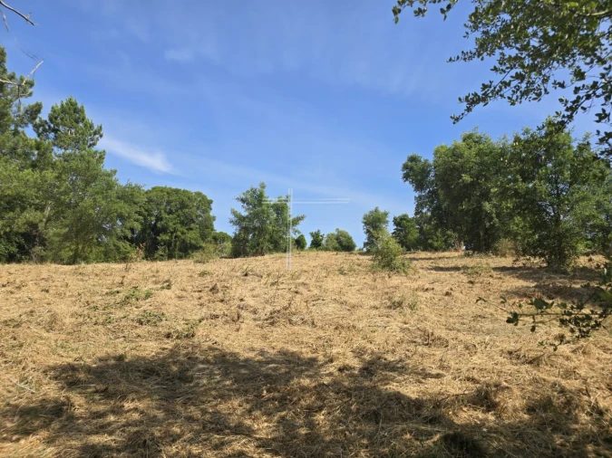 Terreno Agricola ou Rústico para Venda em Azeitão (São Lourenço e São Simão) Foto 13