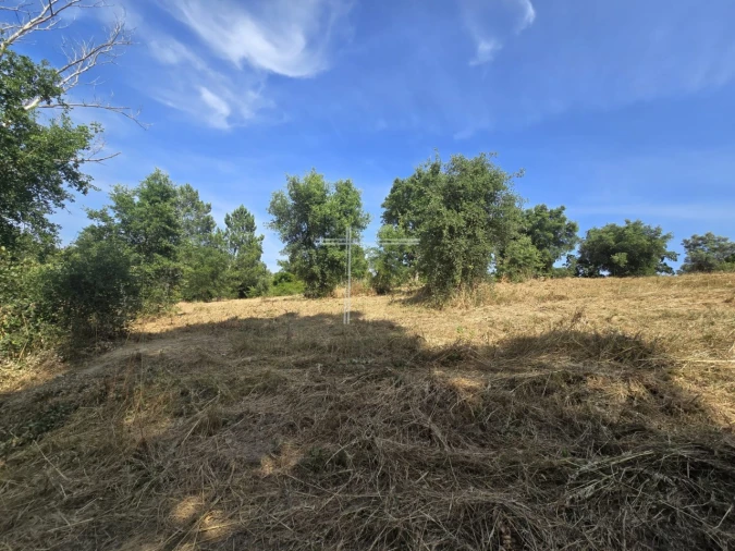 Terreno Agricola ou Rústico para Venda em Azeitão (São Lourenço e São Simão) Foto 14
