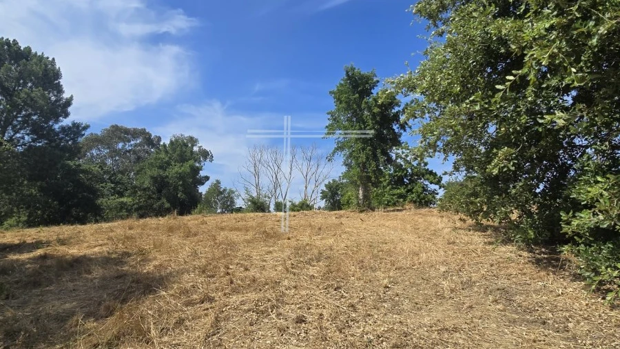 Terreno Agricola ou Rústico para Venda em Azeitão (São Lourenço e São Simão)