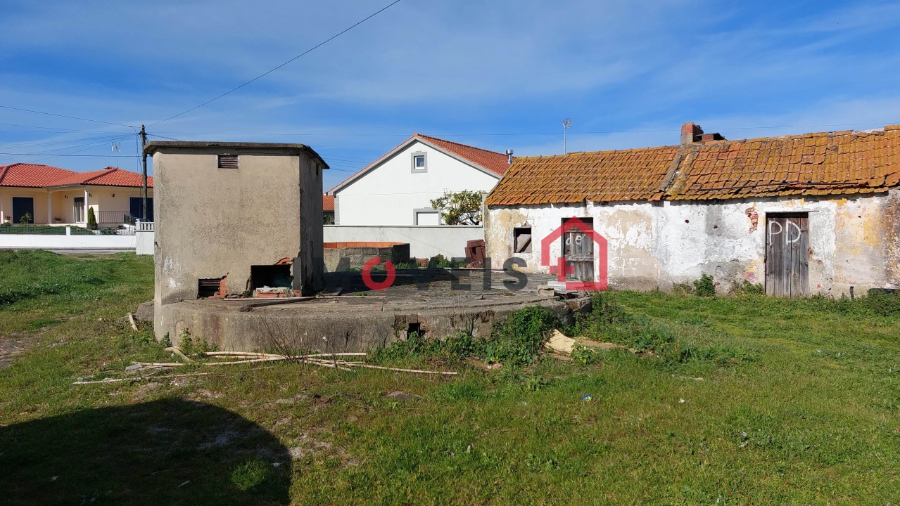 Terreno para Venda em Vieira de Leiria Foto 2