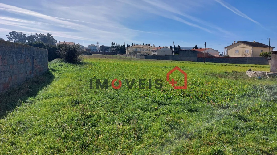 Terreno para Venda em Vieira de Leiria Foto 4