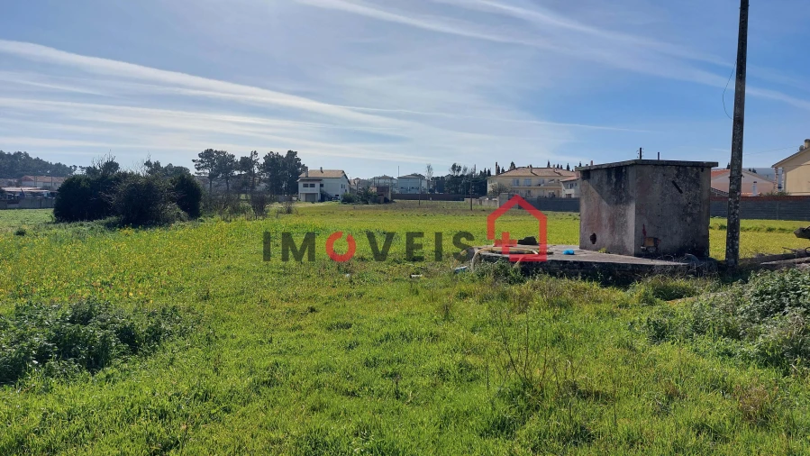 Terreno para Venda em Vieira de Leiria Foto 3