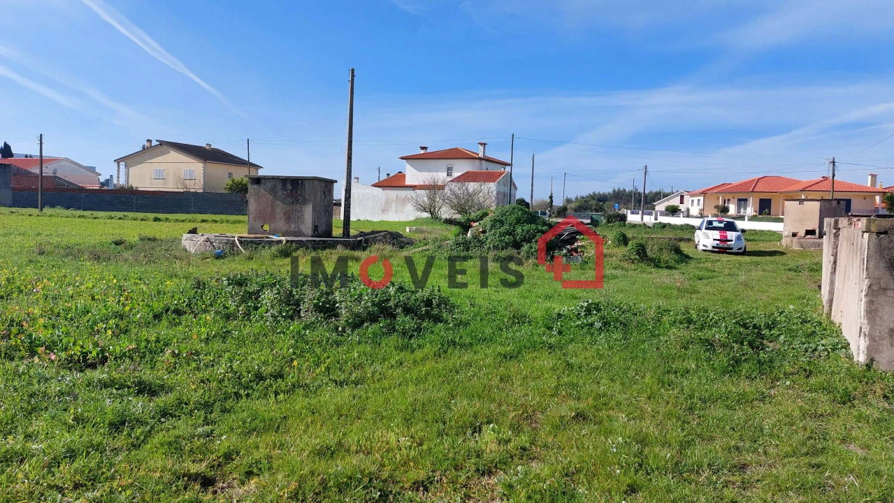 Terreno para Venda em Vieira de Leiria Foto 5